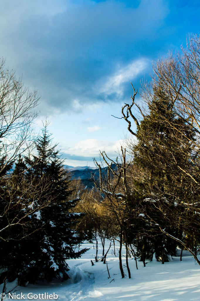 The view from the top of one of the zones I found, 20 minutes from home. Not bad! This one won me some free schwag from Ski VT – anyone need two Killington tickets for next year?