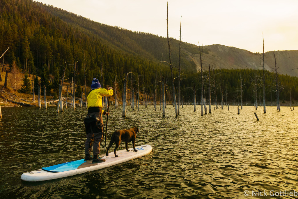 Because the lake is new (1959), it's filled with dead trees that make for a eery natural slalom course. 